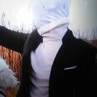 gaster