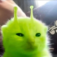 zip zip