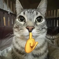 tác giả bị lười 😴💤