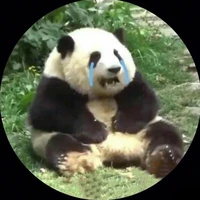 All mọi người có ở đó