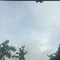 Châu Vương Hà - nàng