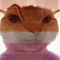 con tác giả vừa ngôn lù vừa lé biên💔