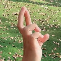 T/g xiao xiao chem chép