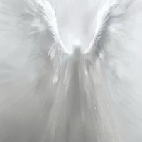 ???