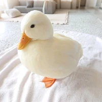 vịt không biết bơi