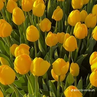 All