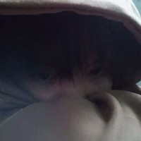 doracow skibidi_03(chị/em qua đường >:3)