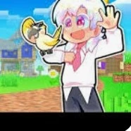 hiha hologram
