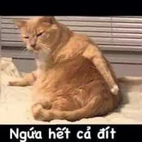 hệ thống mồm lèo