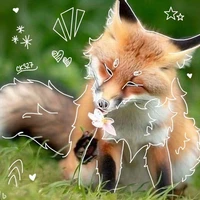 #𝐇𝐨𝐚𝐇𝐨𝐧𝐠𝐠🪼 | Bà trùm kết HE |