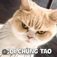 T/G: tác giả lừi