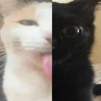 T/g (vt truyện theo tâm trạng)