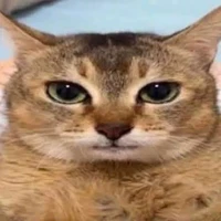 bn của nhỏ nào đó