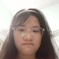 sơmi ( chị tác giả)