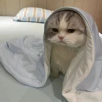 All_Tùy Trường Hợp