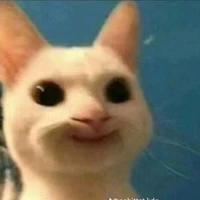 T/g bị khùng
