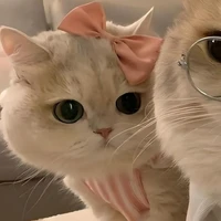 Hoàng My - nhân viên