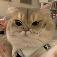 Anh Quân - phục vụ