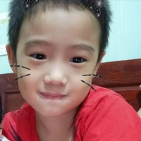 Tác giả