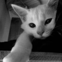 bố m đa nhân cách