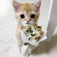 @Ngoitrongsothu_gaorutenanh