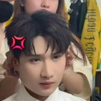 ĐỖ VIỆT TIẾN ( nhỏ)