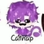 hiha catnap