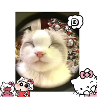 Dũng(Boo)