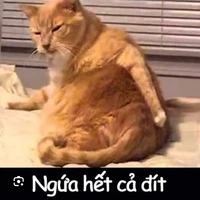 cân tất cả mọi người, trừ ai thì trừ