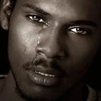 Tác giả 💔😭🦟 ( muỗi )