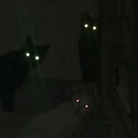 Tất cả mọi người tại đó