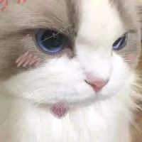 nhỏ tg