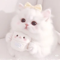 Bạch cốt tinh(Mèo)