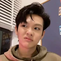 Lê Hồ Phước Thịnh