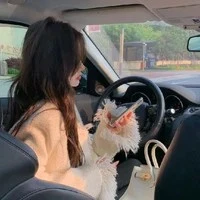 Hà Trân Nguyệt ( Phu Nhân Hoàng)