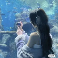Thẩm Tiểu Hạ