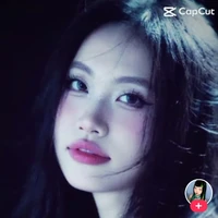 Phương mỹ chi