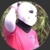 cyan sans
