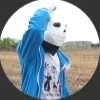sans (sans dép hồng)