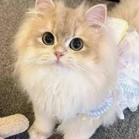 mimi