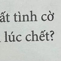 Nv phụ
