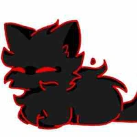 ^[Hắc Miêu_Tiểu Hắc]^