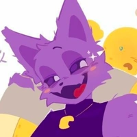 cat nap