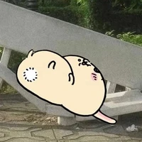 xịt