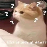 Thẩm Thiên Hạo( anh c n9)