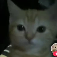 mối 1