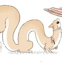 linh khế lulita (lanshi)