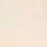 NVP