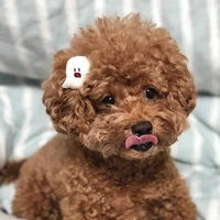 Bờ Lè
