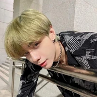 Quang Hùng Master D